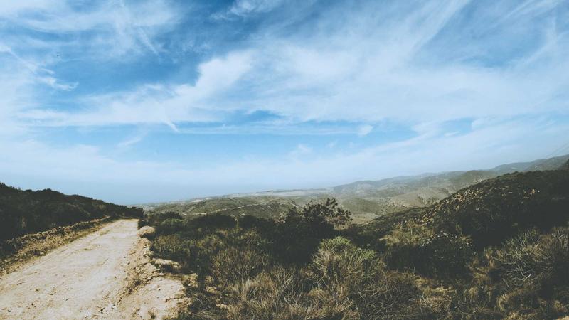 Featured image for Botsec Net article