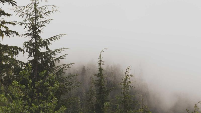 Featured image for Botsec Net article