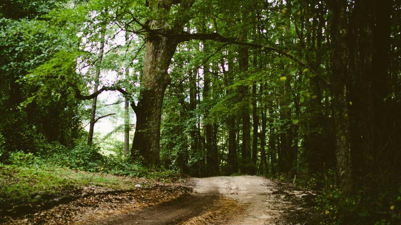 Featured image for Botsec Net article