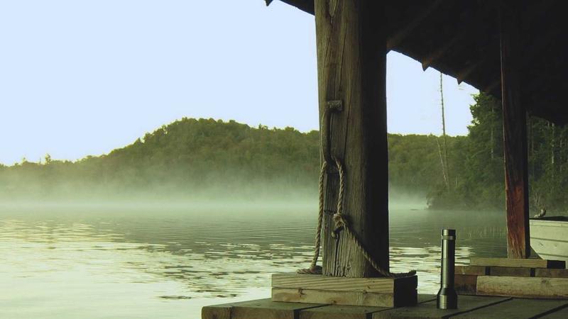 Featured image for Botsec Net article