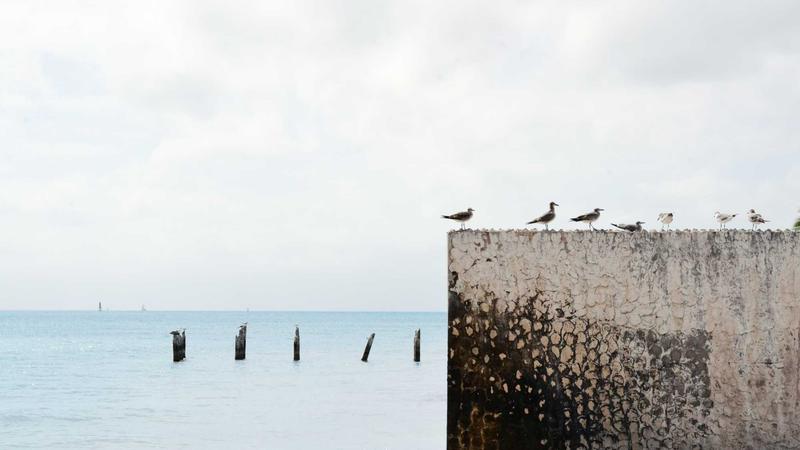 Featured image for Botsec Net article