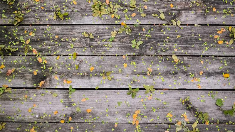 Featured image for Botsec Net article