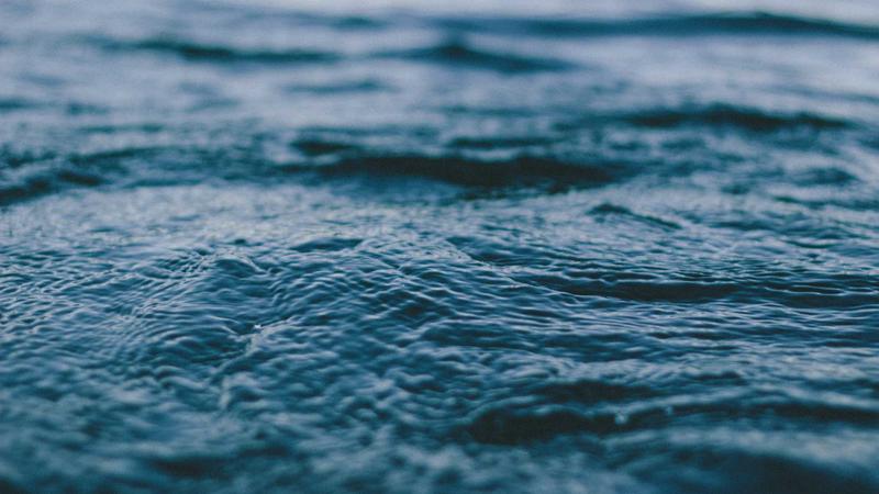 Featured image for Botsec Net article