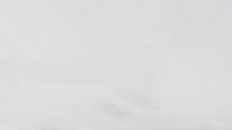 Featured image for Botsec Net article