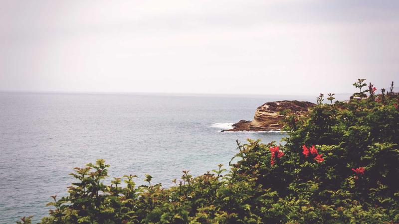 Featured image for Botsec Net article