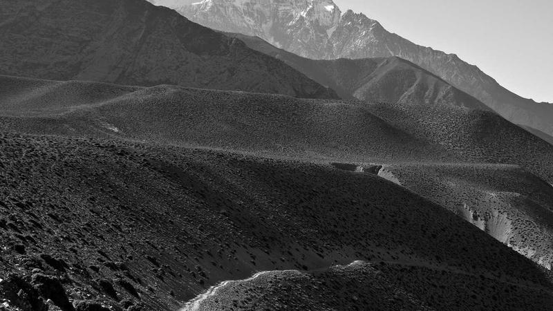 Featured image for Botsec Net article