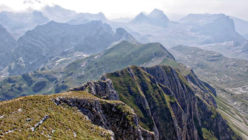 Featured image for Botsec Net article