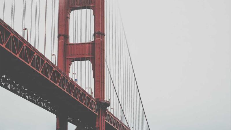 Featured image for Botsec Net article