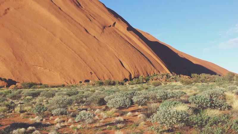 Featured image for Botsec Net article