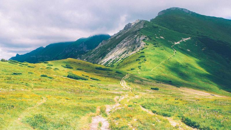 Featured image for Botsec Net article