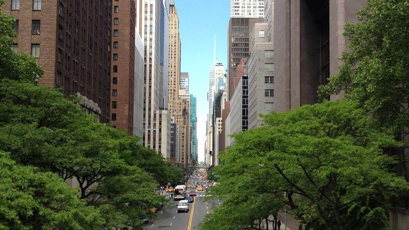 Featured image for Botsec Net article