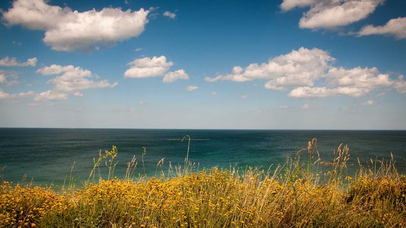 Featured image for Botsec Net article