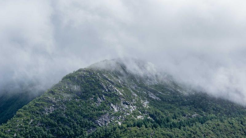 Featured image for Botsec Net article