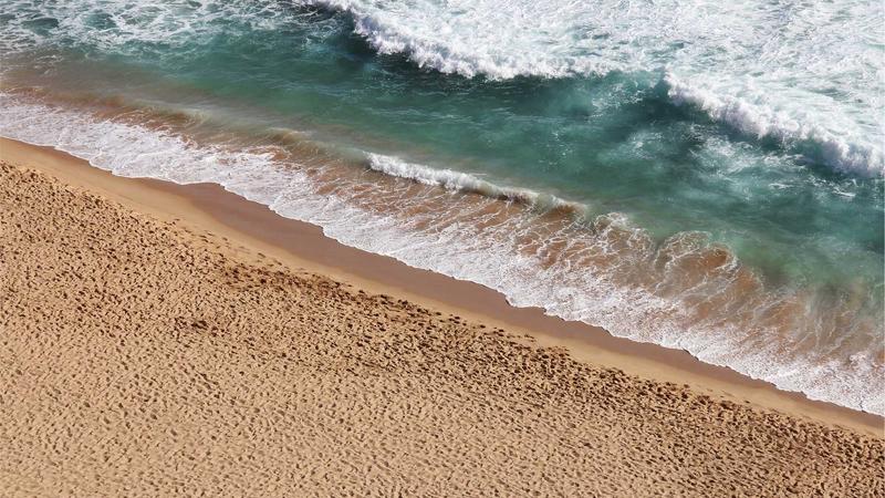 Featured image for Botsec Net article