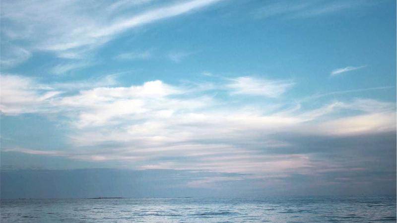 Featured image for Botsec Net article