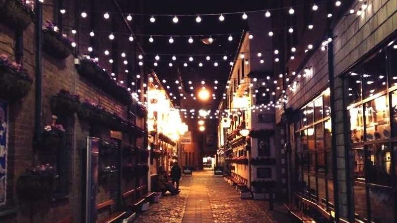 Featured image for Botsec Net article