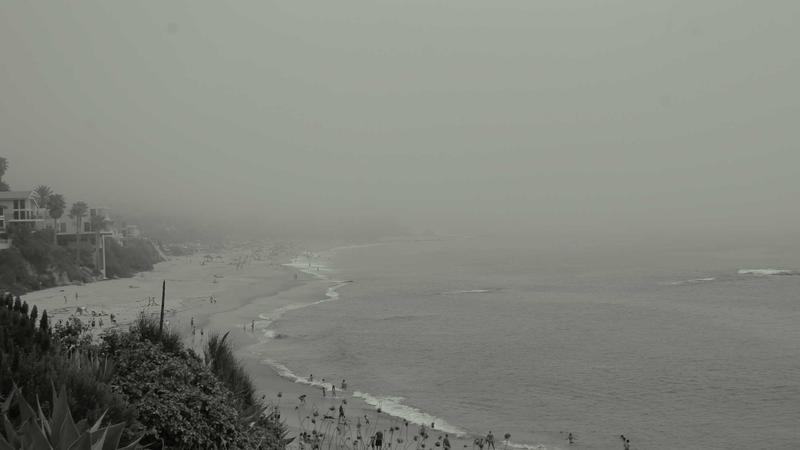 Featured image for Botsec Net article