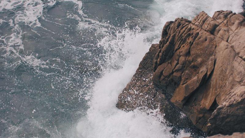 Featured image for Botsec Net article