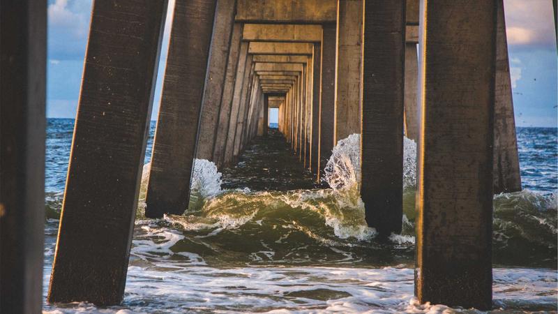 Featured image for Botsec Net article