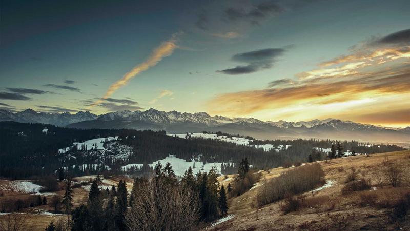 Featured image for Botsec Net article