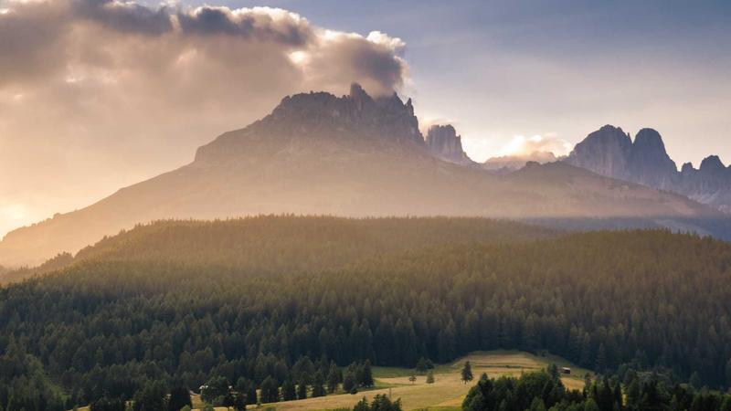 Featured image for Botsec Net article