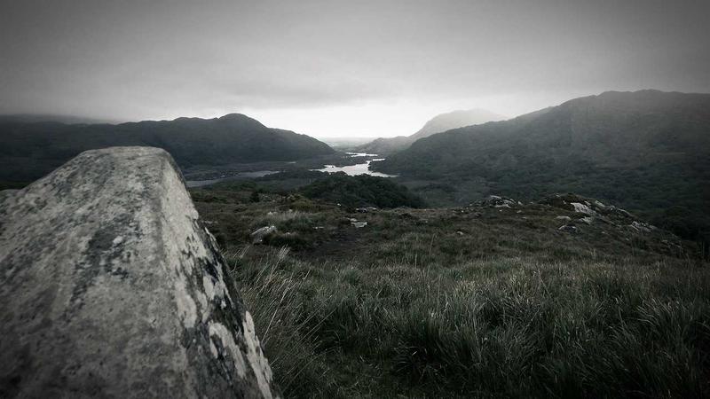 Featured image for Botsec Net article